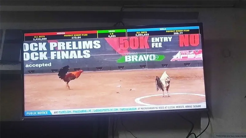 Understanding E-Sabong: A Look at the Online Cockfighting Phenomenon