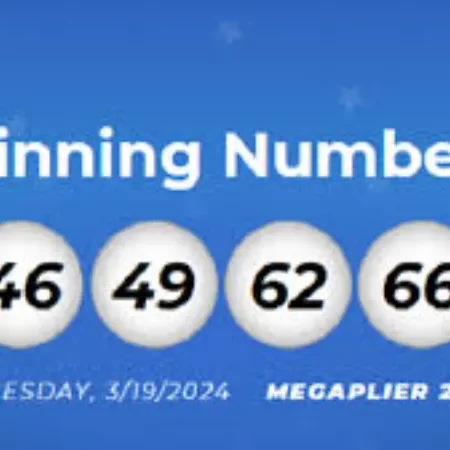 Demystifying Lottery Numbers Your Guide to Winning and More
