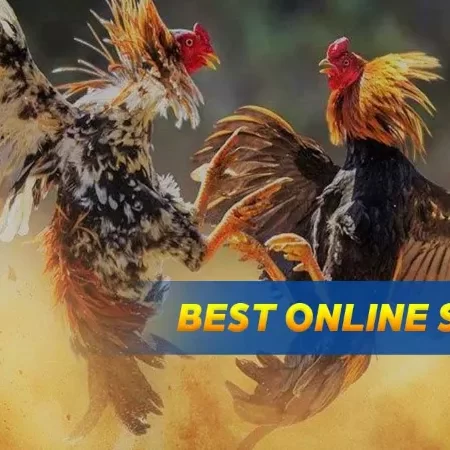 Online Sabong Your Guide to Live Cockfighting Betting