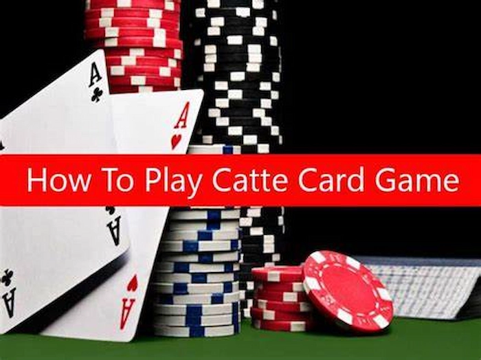 How to play Catte for new players