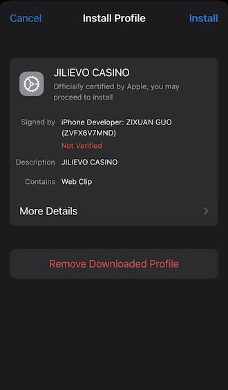 Step 5: Go to settings on your phone and select JILIEVO's profile. Then press "install".